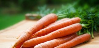 come coltivare le carote